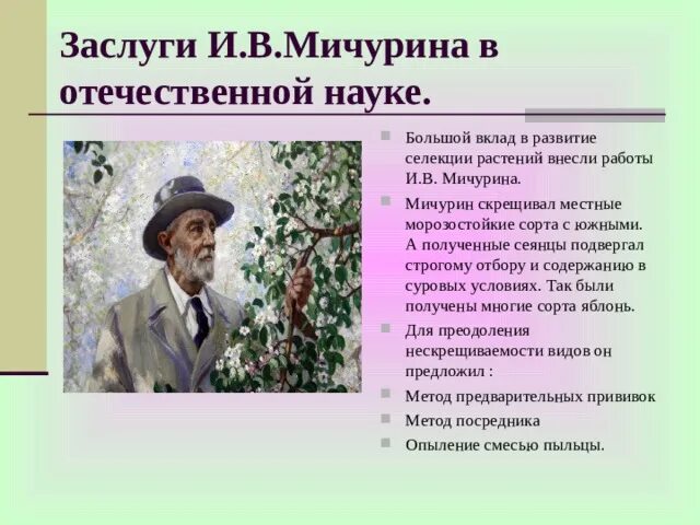 Вклад Мичурина в науку. Гибрид мичурин