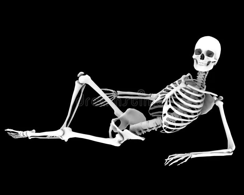 Скелет позы. Скелет лежит. Лежачий скелет.