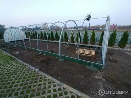 Теплица тюльпан отзывы