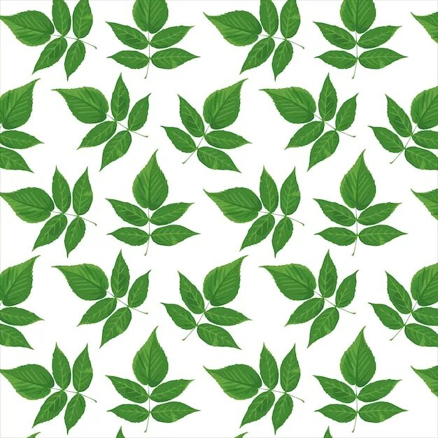 Трафарет пвх. Трафареты "листья". Бабочки для вырезания зеленые. Шаблоны листьев. Зеленый трафарет.