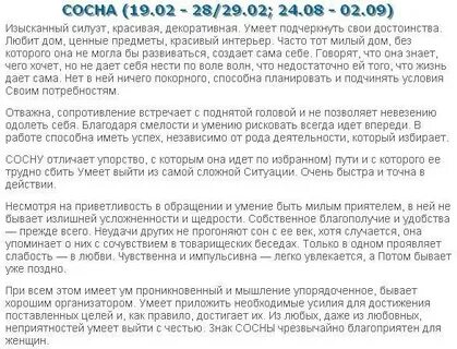 Друиды гороскоп по дате рождения