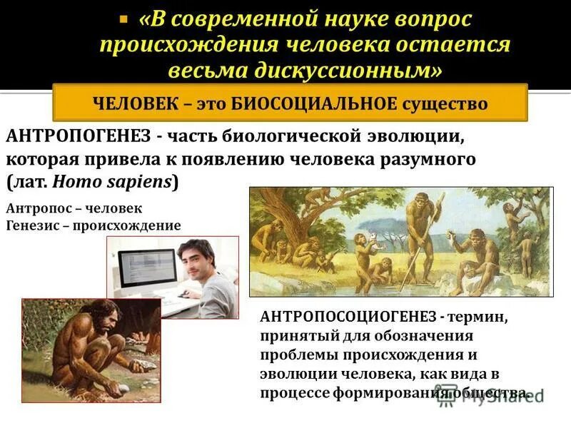 Как протекает антропогенез и социогенез. Происхождение человека. антропогенез неолитическая революция. антропогенез и антропосоциогенез. происхождение человека дискуссионные вопросы.