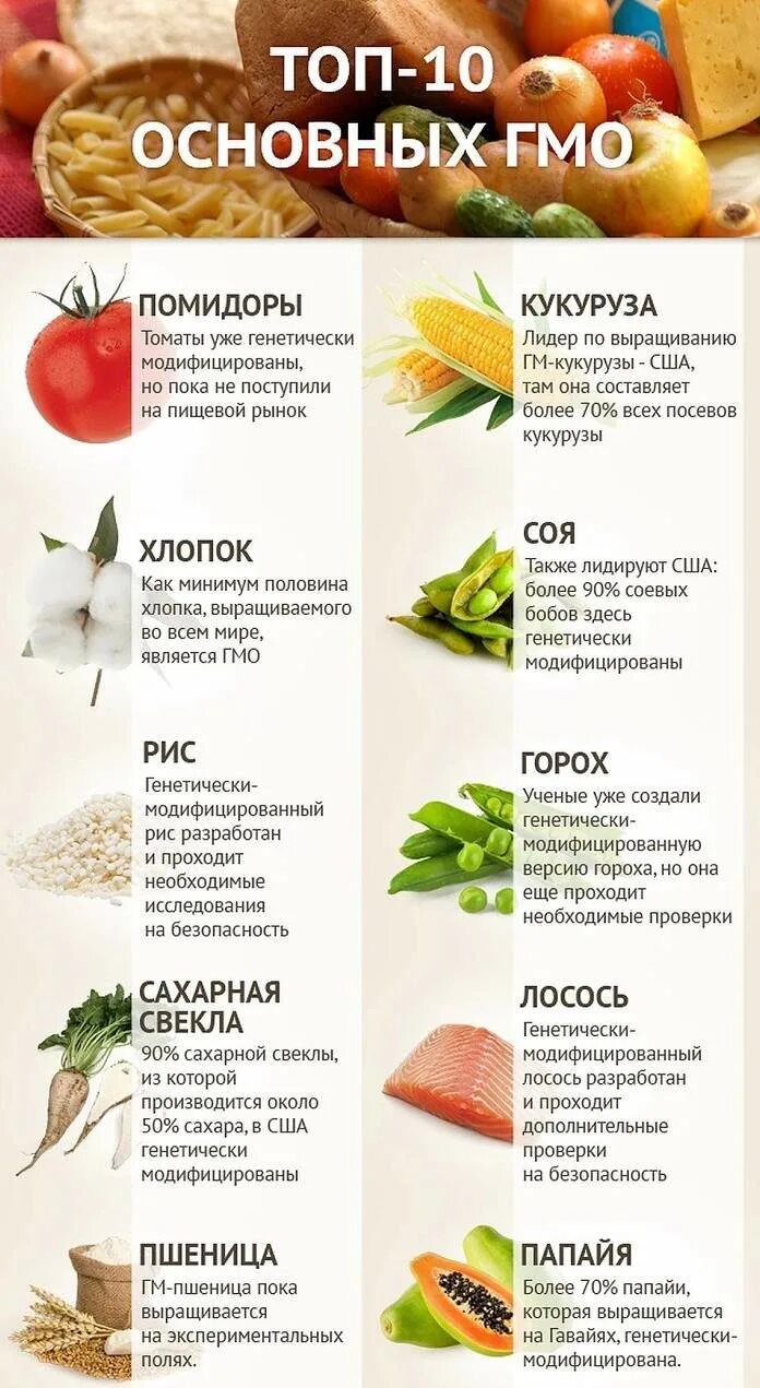 Как расшифровывается гмо. Гмо продукты. перечень продуктов содержащих гмо. генетически модифицированные продукты. продукты содержащие гмо.