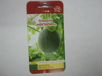 Огурдыня отзывы