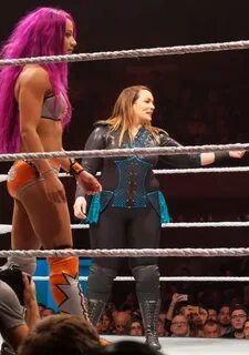 Slideshow wwe divas nsfw.