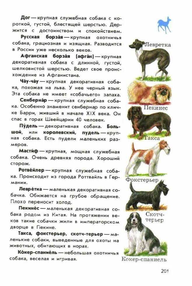 Which dog breed to choose?