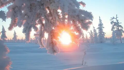 Самая длинная ночь зимой