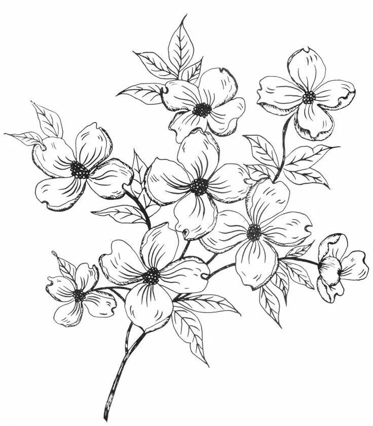 Draw easy trace to sketch