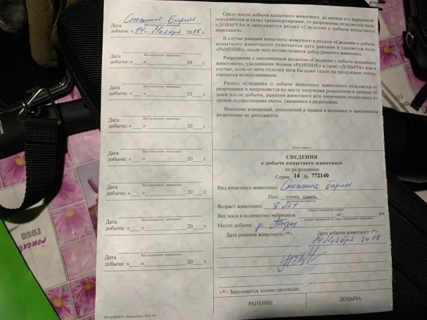 заполненная добычей. разрешение на добычу охотничьих ресурсов таблица 3. как правильно заполнить разрешение на добычу птиц. заполнение охотничьей путевки. заполненная добычей.
