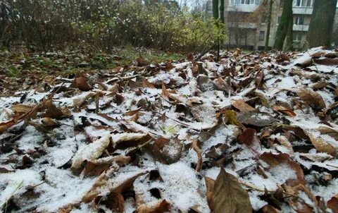 Заморозки в спб