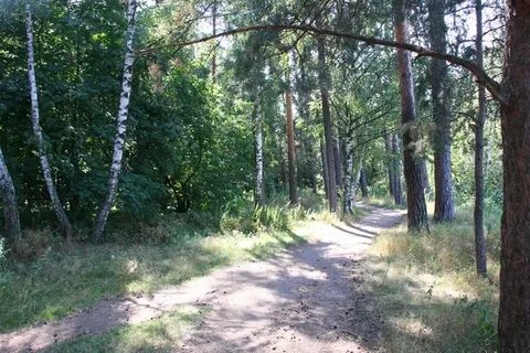 Серебряное участки