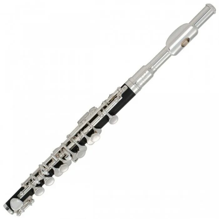 Флейта купить. Флейта -Пикколо c Prelude by CONN-Selmer PC-710. Prelude by CONN-Selmer PC-710. Флейта-Пикколо флейта. Флейта Пикколо.