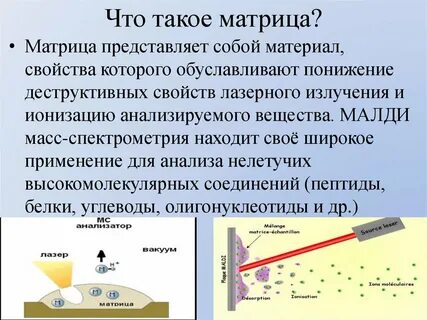 Матрица в жизни человека простыми словами