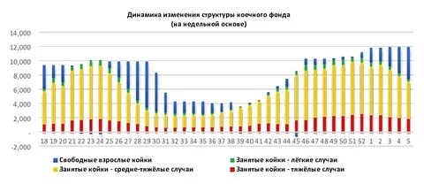 Заболеваемость в спб