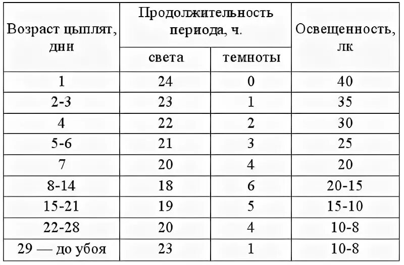 Световой режим для бройлеров