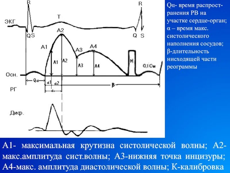 3 1 q максимальный