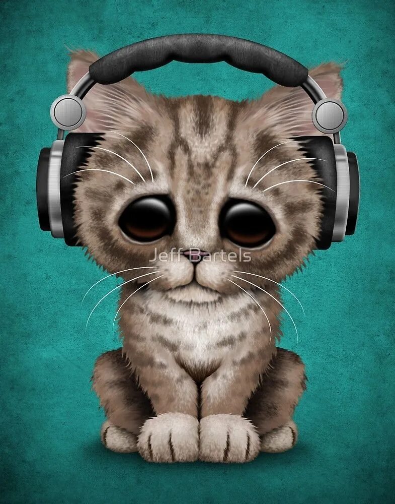 Кот в наушниках. Котенок в наушниках. Кошечка с наушниками. Котик в наушниках. Котенок с наушниками.