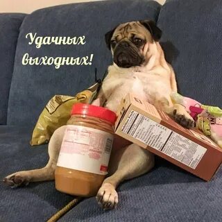 Как провожу выходной день