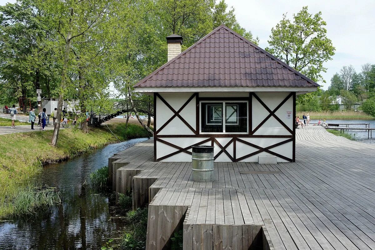 Колтуши колтушское озеро. Колтуши ленинградская. Институт физиологии павлова в колтушах. Снять в колтушах. Озеро павлово колтуши.