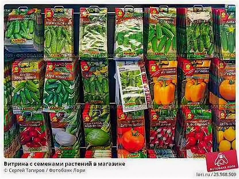 Фирмы производителя семян. Минск семена интернет магазин каталог. Челябинские семена интернет магазин. Минск семена интернет магазин каталог. Минск семена интернет магазин каталог.