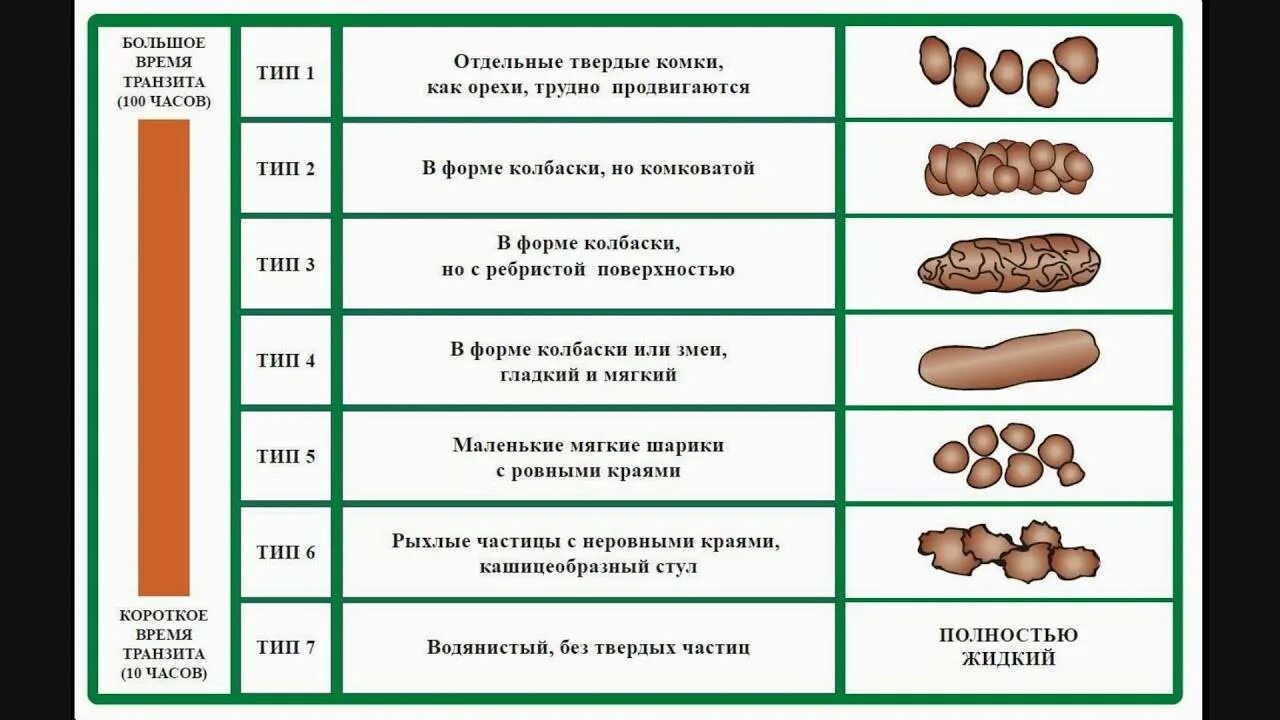 Бристольская шкала формы кала у детей. Овечий кал у взрослого человека. Почему кал жирный