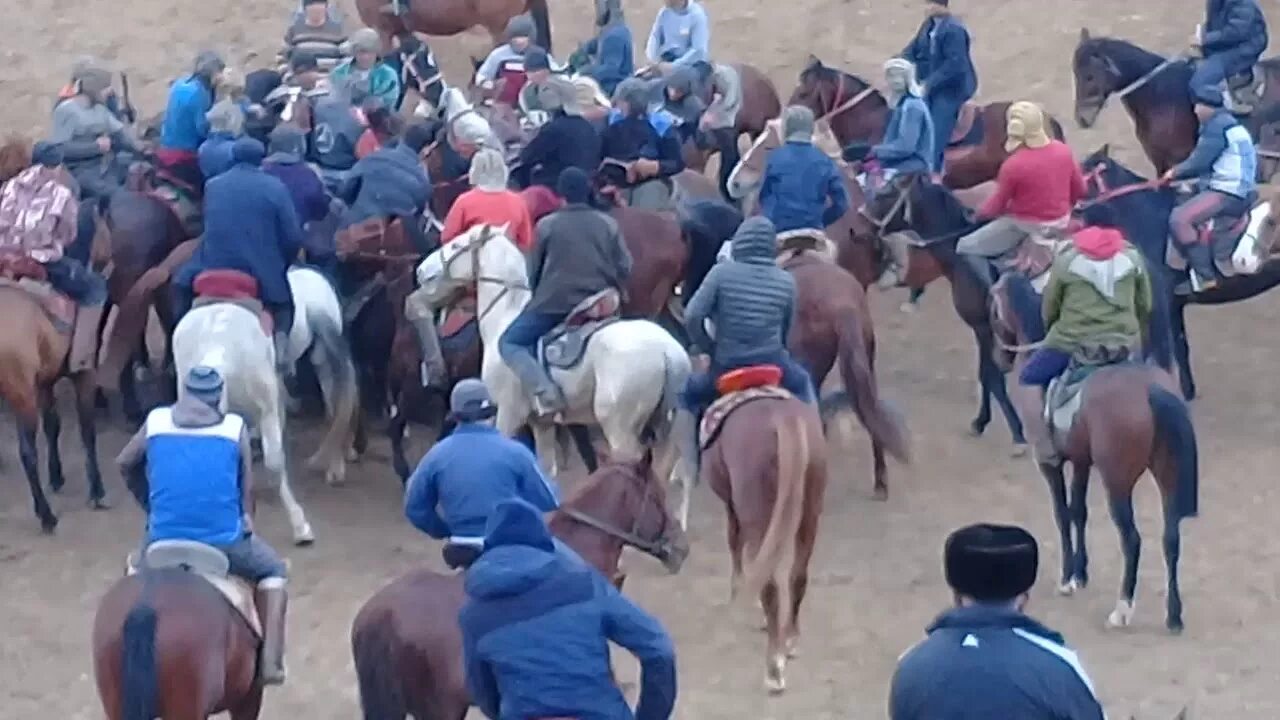 Погода шахринав на 10 дней точный. Бузкаши Хисор. Бузкаши ш Шохина. Погоди Шахринав.