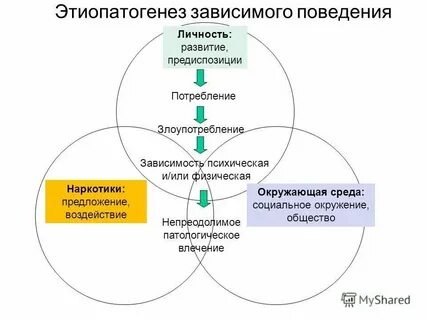 Психологические модели культуры
