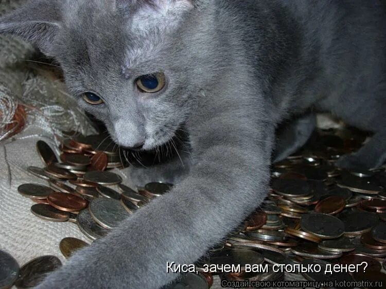 подруги с деньгами. не понял больших денег. не понял больших денег. трата денег. занять денег мем.