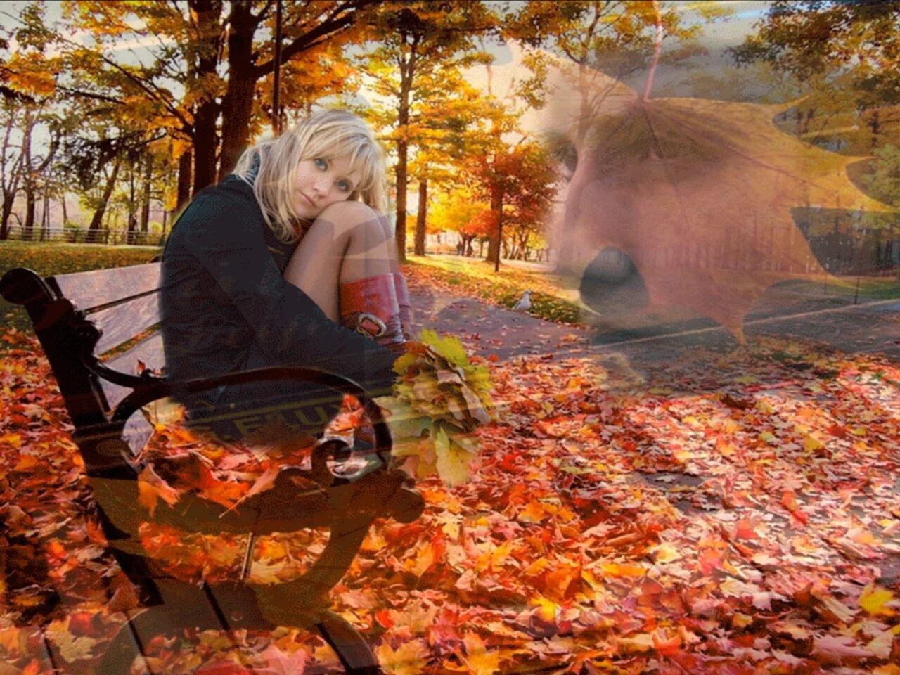 Уходящий вечер октября. Осенняя любовь. Осенняя печаль. Осень грусть. Осень любовь.