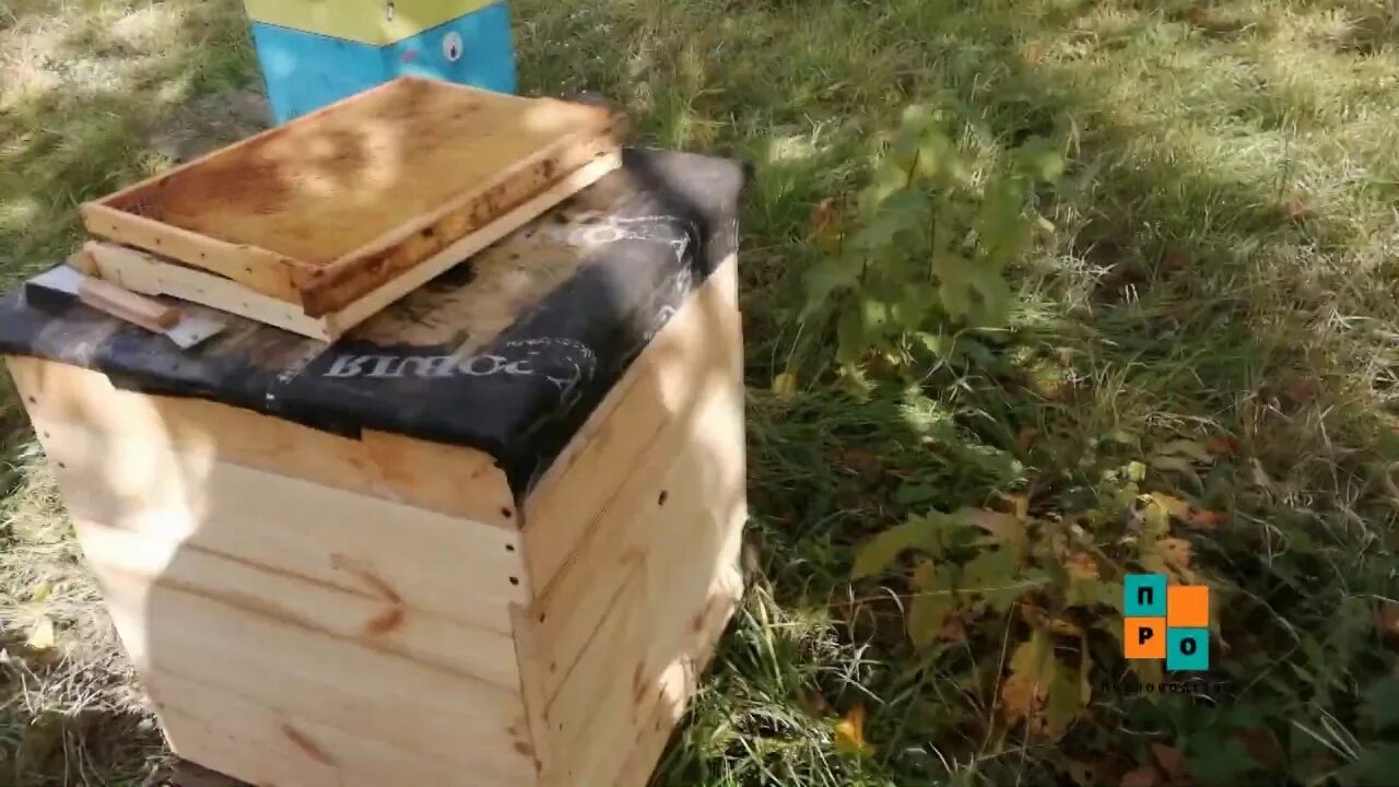 Закорм пчел в зиму. Приспособление для подкормки пчел сиропом. сироп для пчел. зимняя подкормка пчел.
