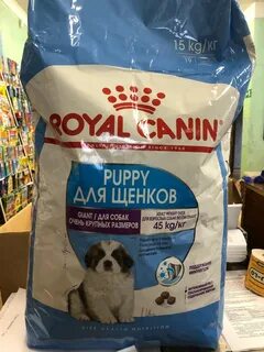 Канин гигант
