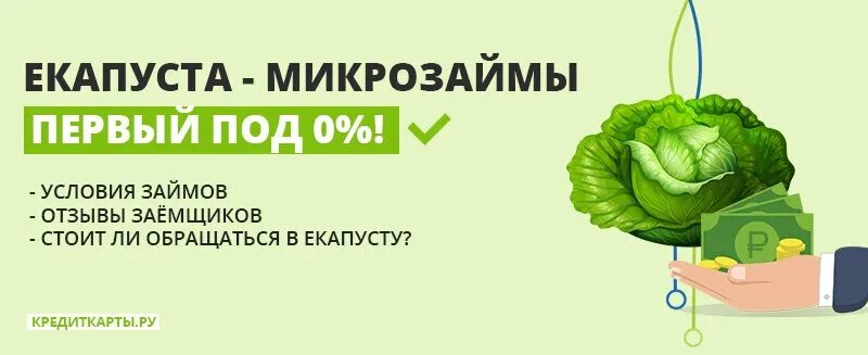 ЕКАПУСТА. Капуста займ. ЕКАПУСТА займ. Микрозаймы е капуста.