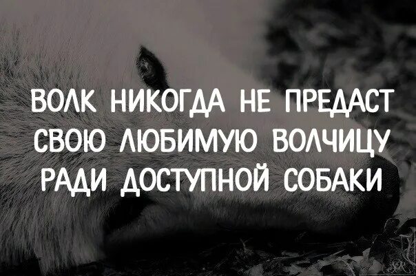 Близко как никогда