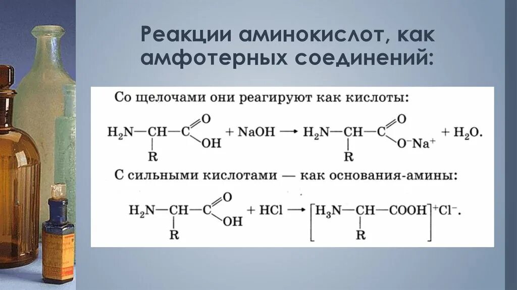 Глицин и гидроксид натрия реакция. Химические свойства аминокислоты аспарагиновой кислоты. Амфотерность аминокислоты Серина. Аспарагиновая кислота с соляной кислотой. Реакция солей аминокислот с кислотами.