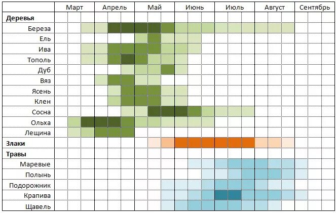 Таблица цветения для аллергиков. Сроки цветения многолетников. Цветение растений по месяцам аллергия. Цветение луговых трав календарь. Когда начинается цветение березы