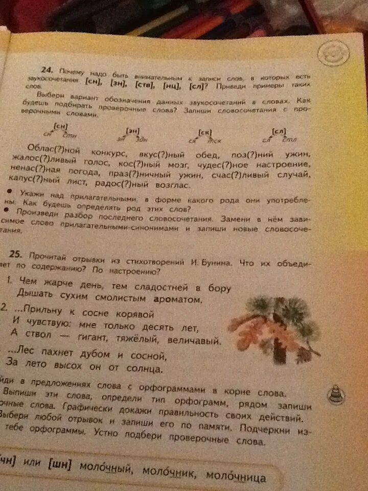Упр 24 1. Упр 24 1