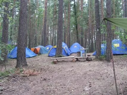 Тур бердск