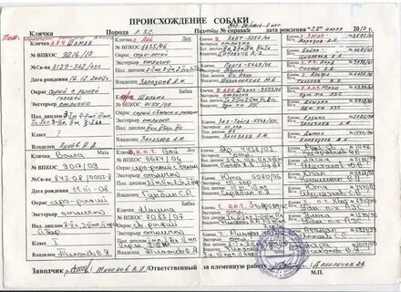 Собак на букву ц