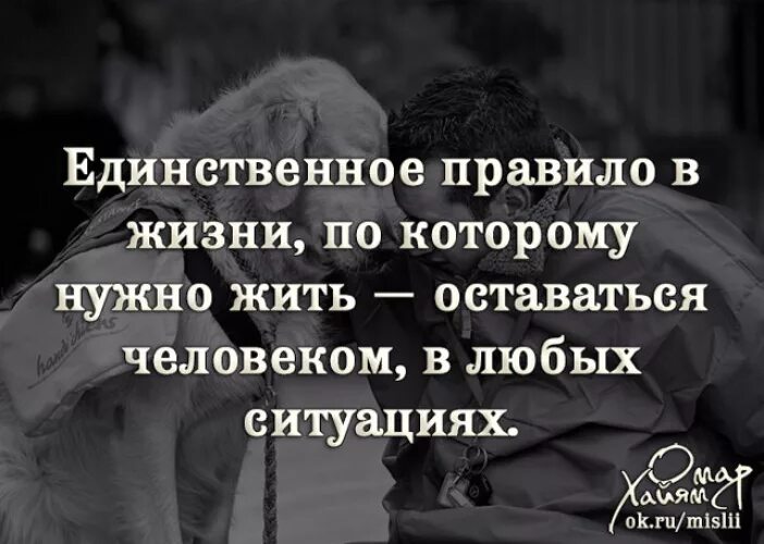 Надо в любой ситуации. В любой ситуации оставайся человеком цитата. Люди оставайтесь людьми в любой ситуации цитаты. Оставаться человеком цитаты. В любой ситуации оставайсячедловеком.