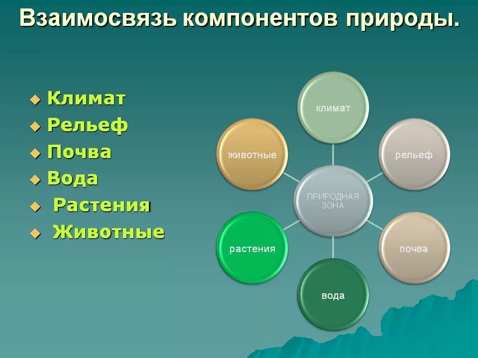 Какие природные компоненты. Компоненты природы. взаимосвязи между компонентами природы. взаимосвязь природных компонентов. природный компонент.