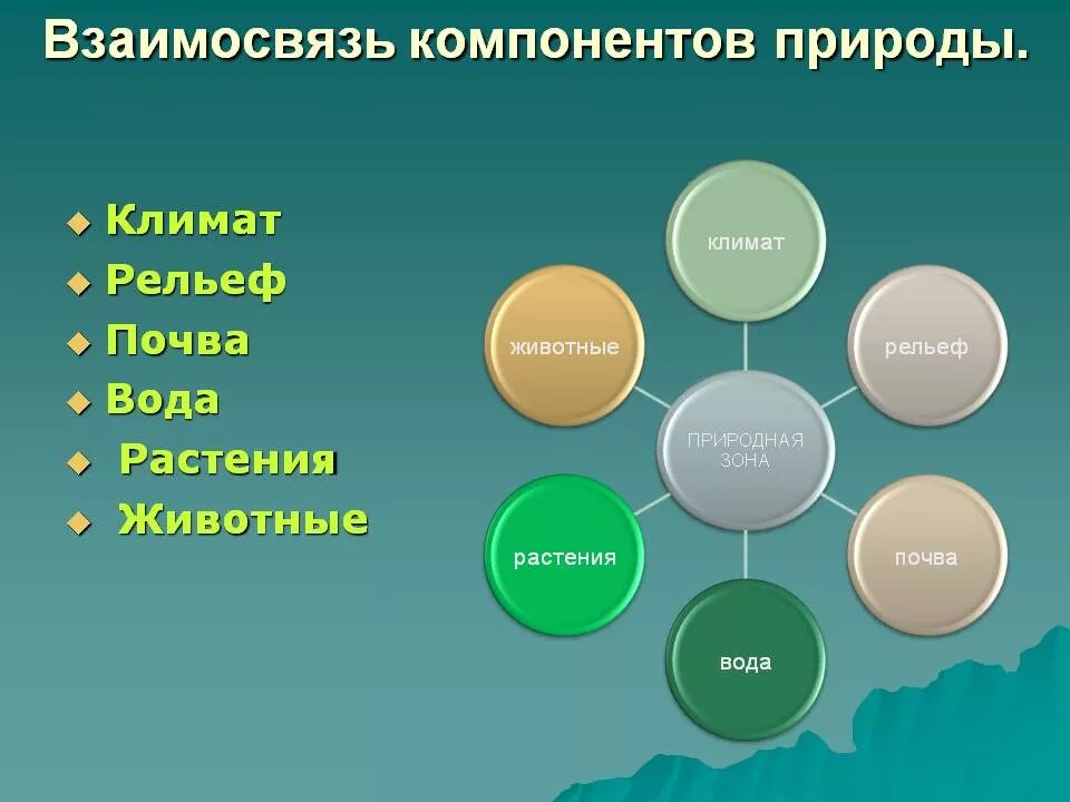 Понятие о природном территориальном комплексе урок. Взаимосвязи между компонентами природы. Взаимосвязь природных компонентов. Природный компонент. Взаимосвязь элементов природы.