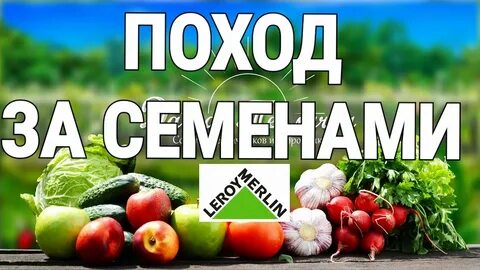 Поход семена
