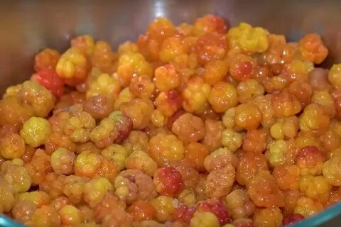 Программа морошка на ямале