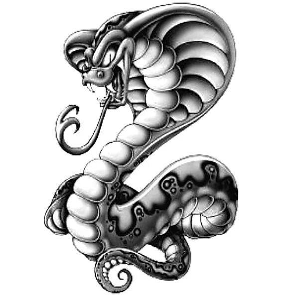 Мифический лев. Лев змея водолей змея. Лев демон. Лев змея водолей змея. Двухголовая змея эскиз.