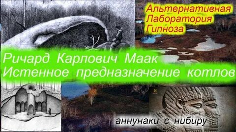 Альтернативная лаборатория брюса