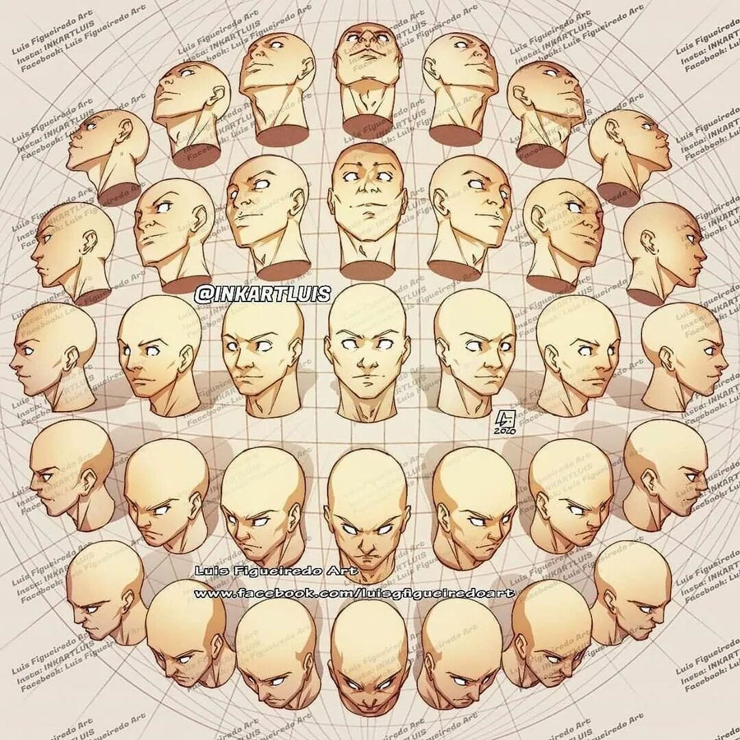 Head forms. Рисунок головы в разных ракурсах. Голова человека в разных ракурсах. Голова человека ракурсы. Лицо с разных ракурсов.