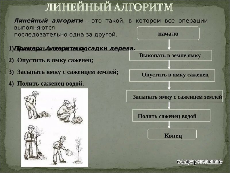 Расставьте действия в нужном порядке алгоритм. Линейный алгоритм посадки дерева. Линейный алгоритм. Пример алгоритма посадка дерева. Линейный алгоритм как посадить дерево.