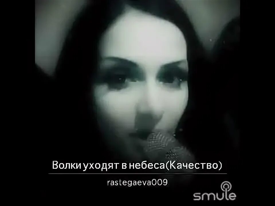 Волки уходят в небеса текст. Волки уходят песни. Волки уходят в небеса картинки. Волк уходящий в даль. Волки уходят песни.