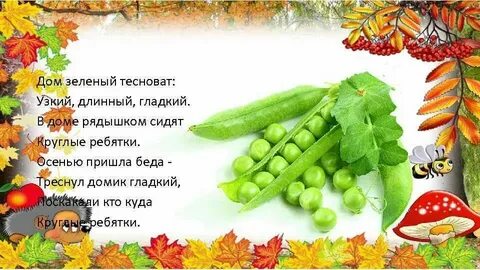 Песенка это значит осень к нам пришла