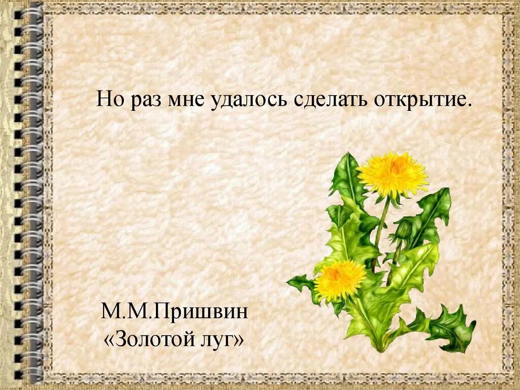 Пришвин золотой луг текст распечатать. Пришвин золотой. Золотой луг пришвин. Золотой луг Пришвина.